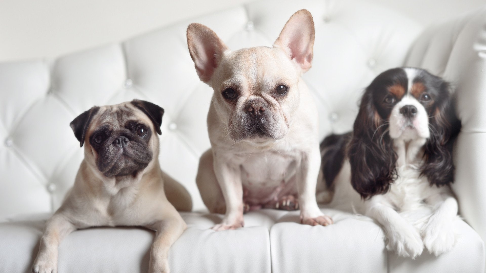 继续帮你做更多,只要告诉我还需要多少哈!,帮我再继续