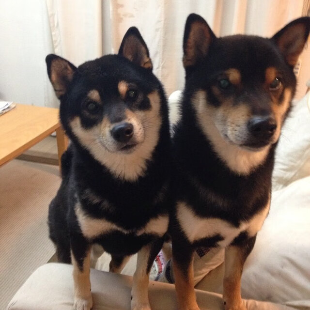 罗马尼亚击败挪威，提升晋级机会不容小觑，罗马尼亚和挪威的比赛结束了吗