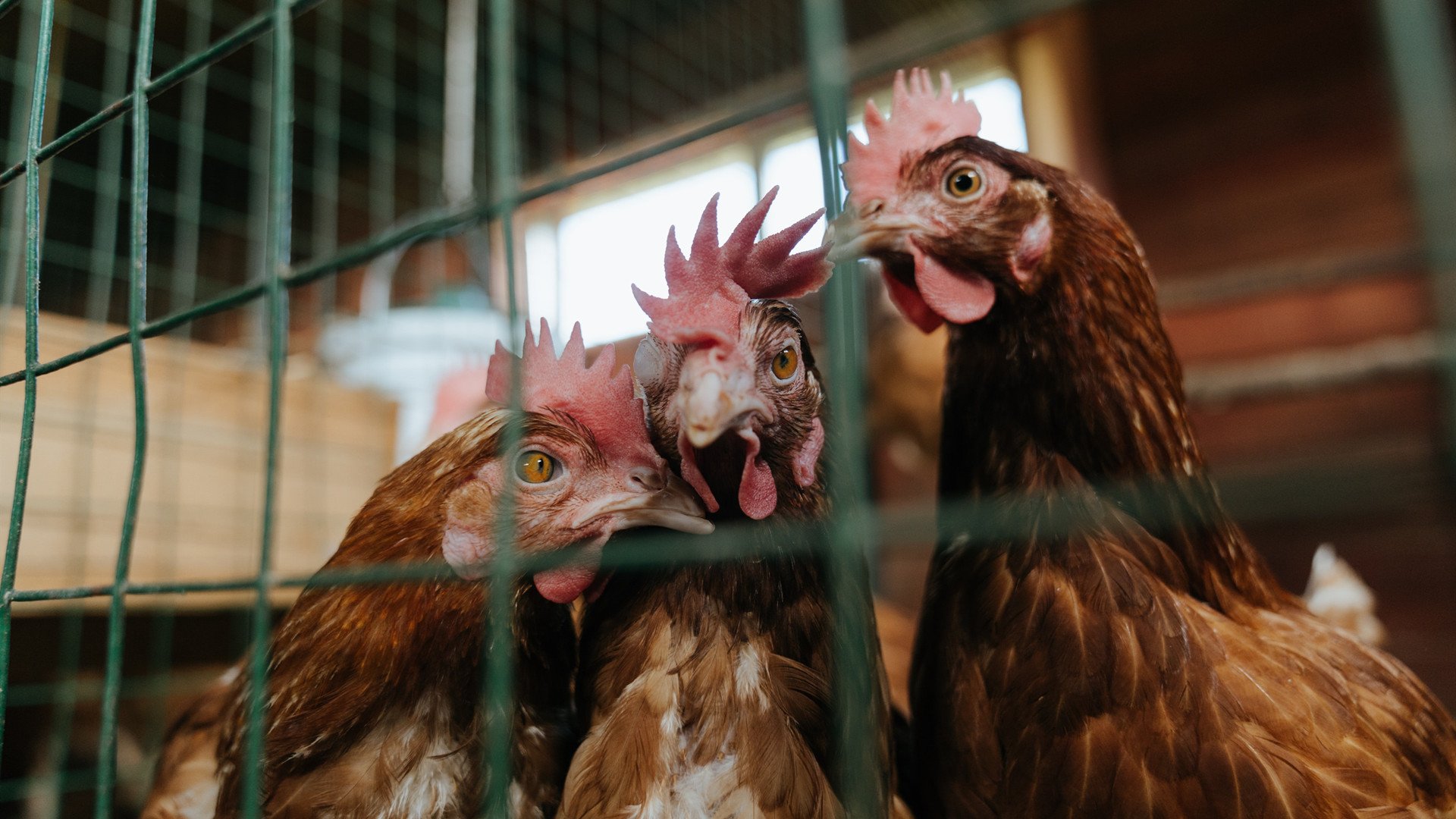 选手训练营正式启动,职业选手的训练赛是什么