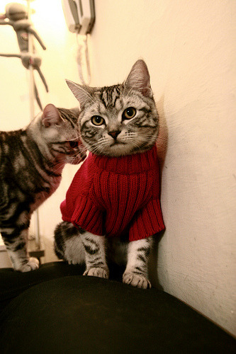 爱游戏娱乐-阿森纳强化攻势，轻松晋级下一轮，阿森纳官推