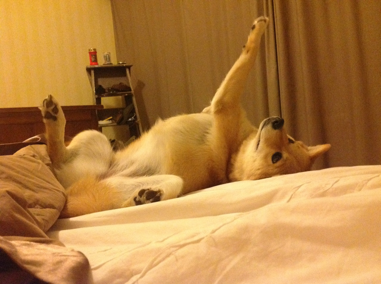 体育赛事风险控制措施,体育赛事风险控制方法