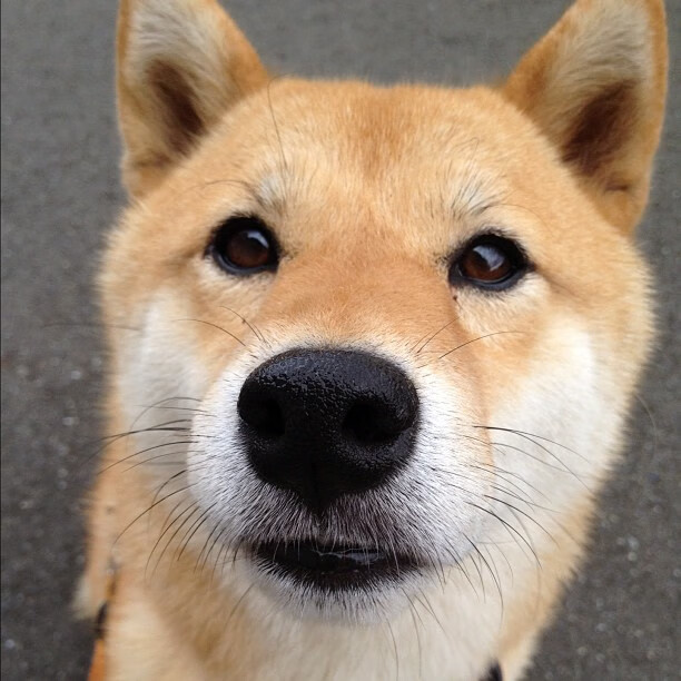 CBA社交平台直播刷新纪录微博互动增强,cba论坛社区