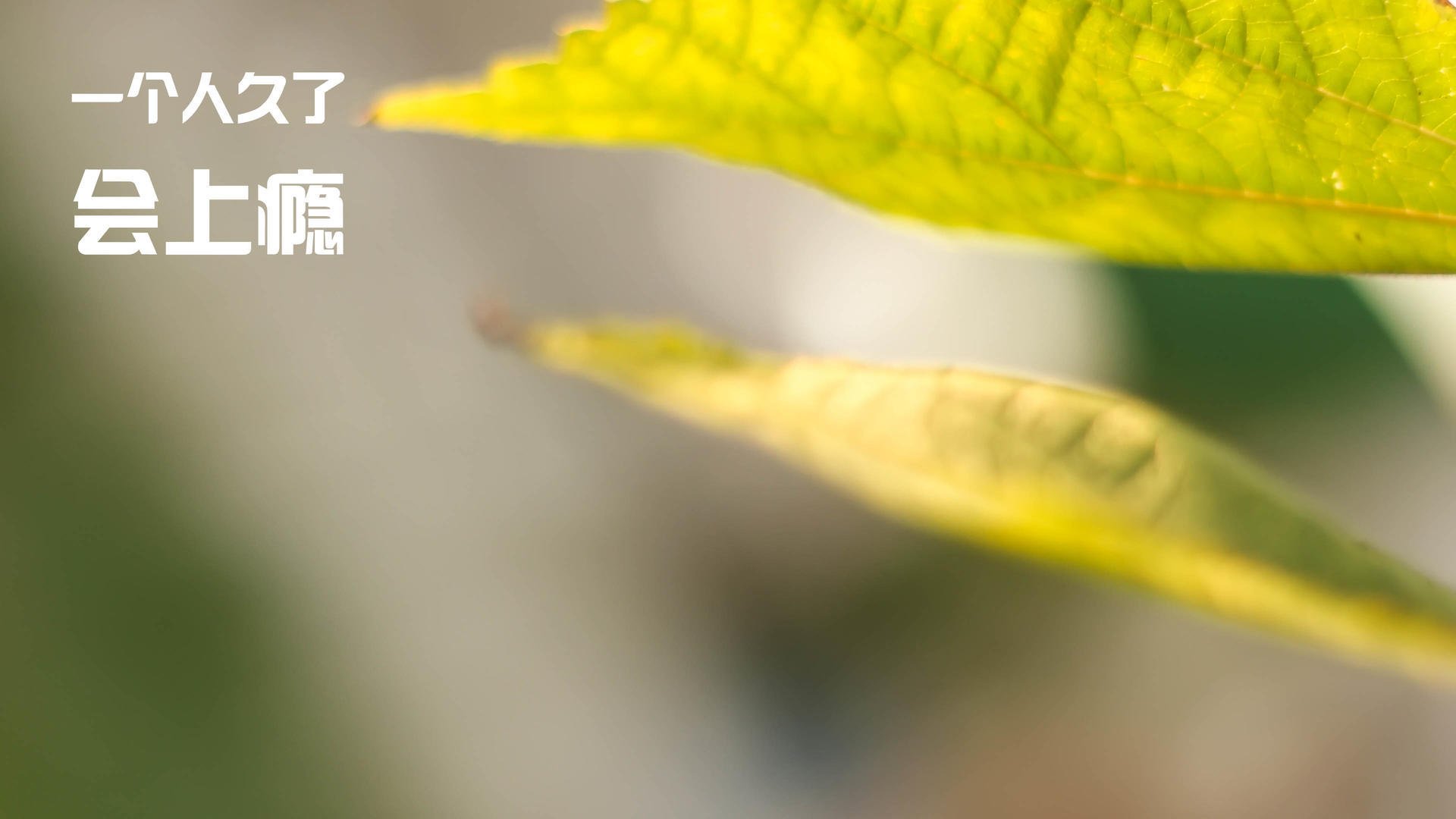 中国三人篮球女队提高协同进攻精准性,中国三人篮球女子队