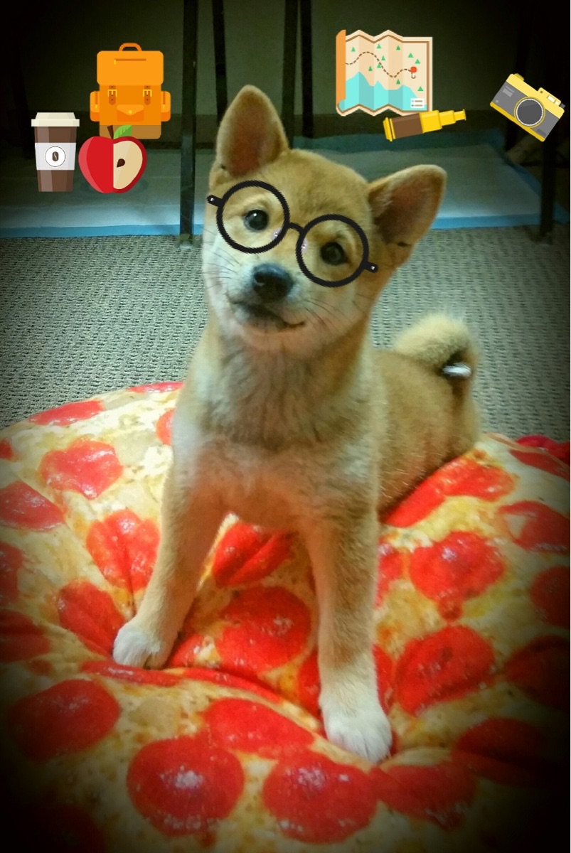 山西龙狮在关键时刻敢于出手赢得比赛尊重,中国龙狮表演视频