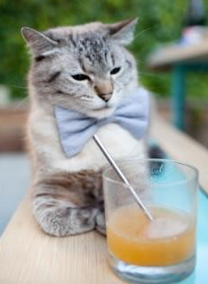 搏击赛场竞争激烈运动精神展现,搏击比赛现场