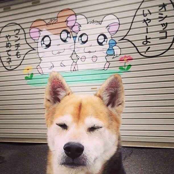 本土球员射门训练强度不足影响终结能力，职业球员射门训练