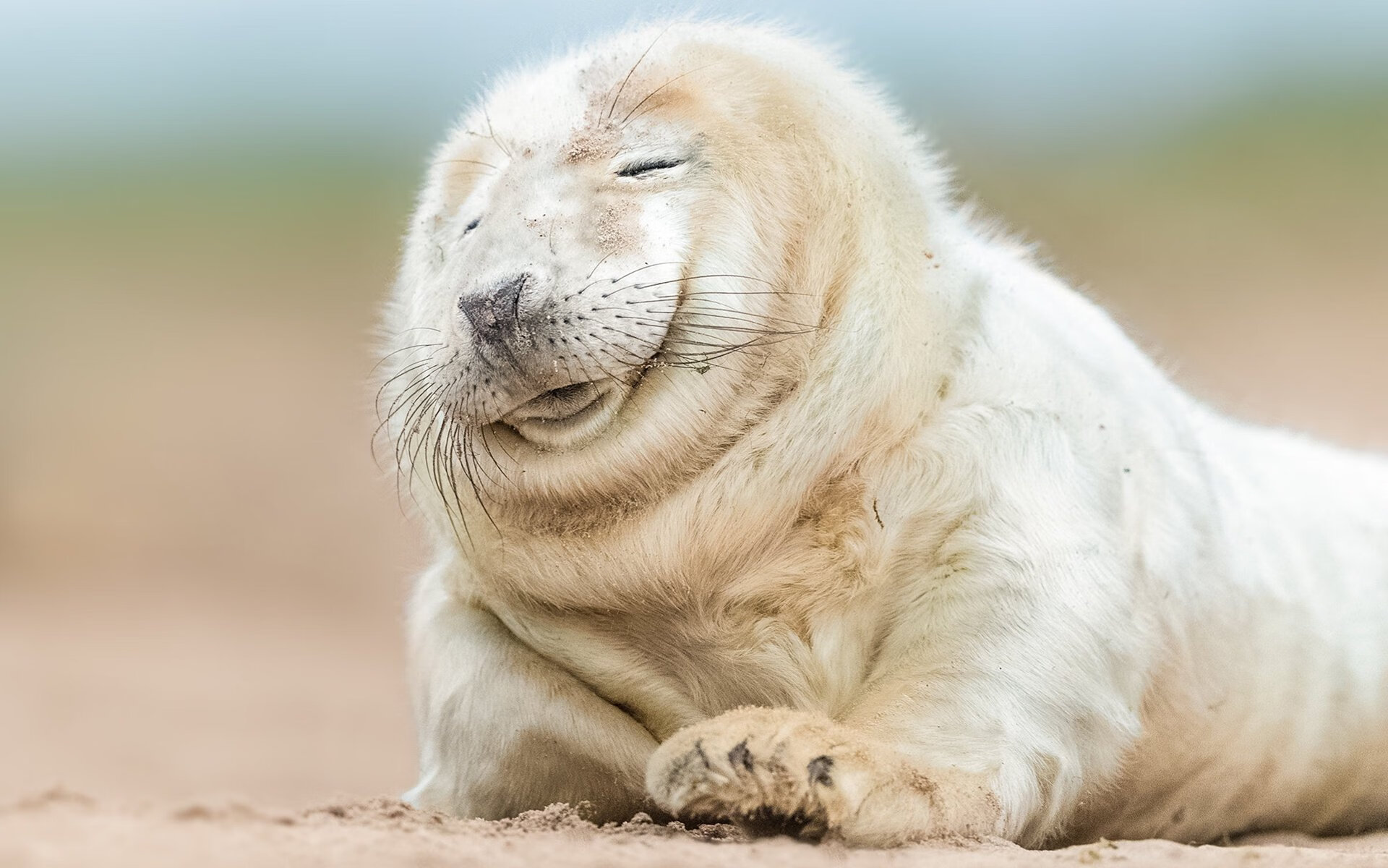 爱游戏体育app-国家队教练强调三分线外投篮稳定性提升战略，三分线外投篮 落地脚在三分线内