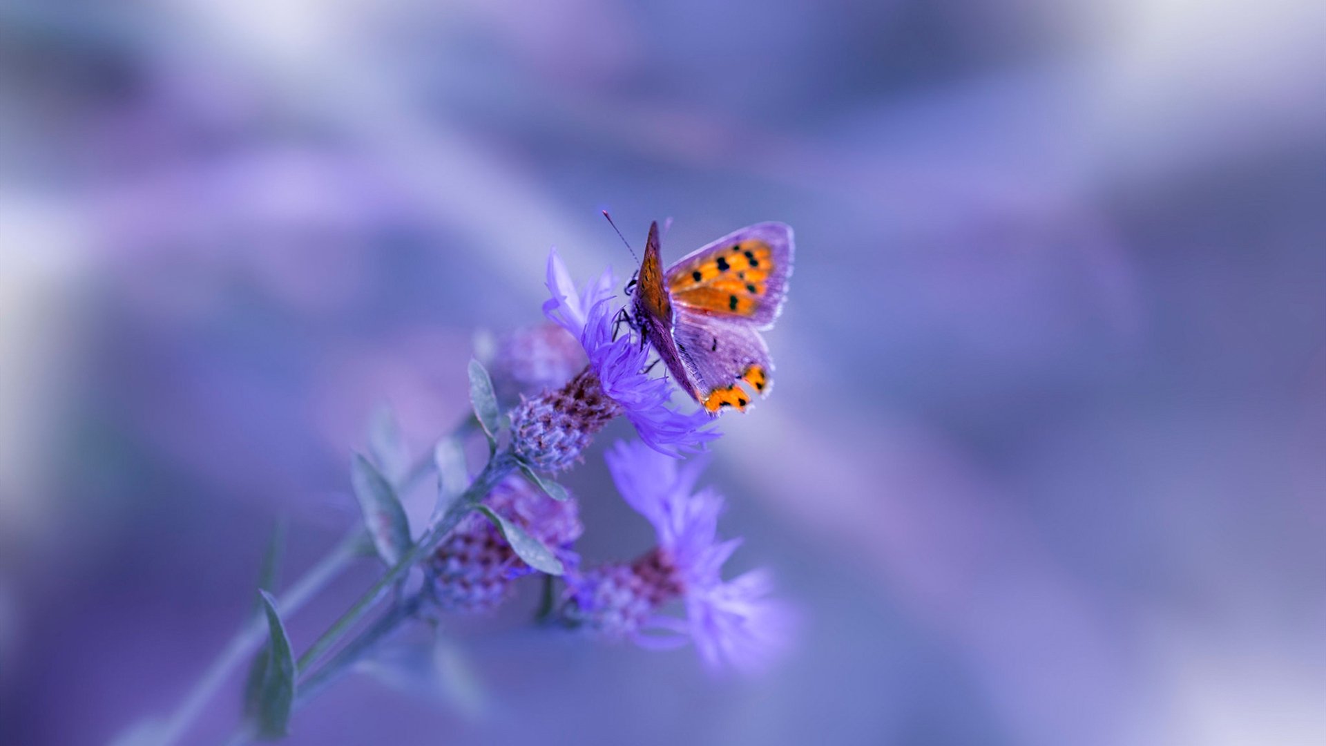 爱游戏app下载-国际赛事引发广泛讨论，国际赛事的意义