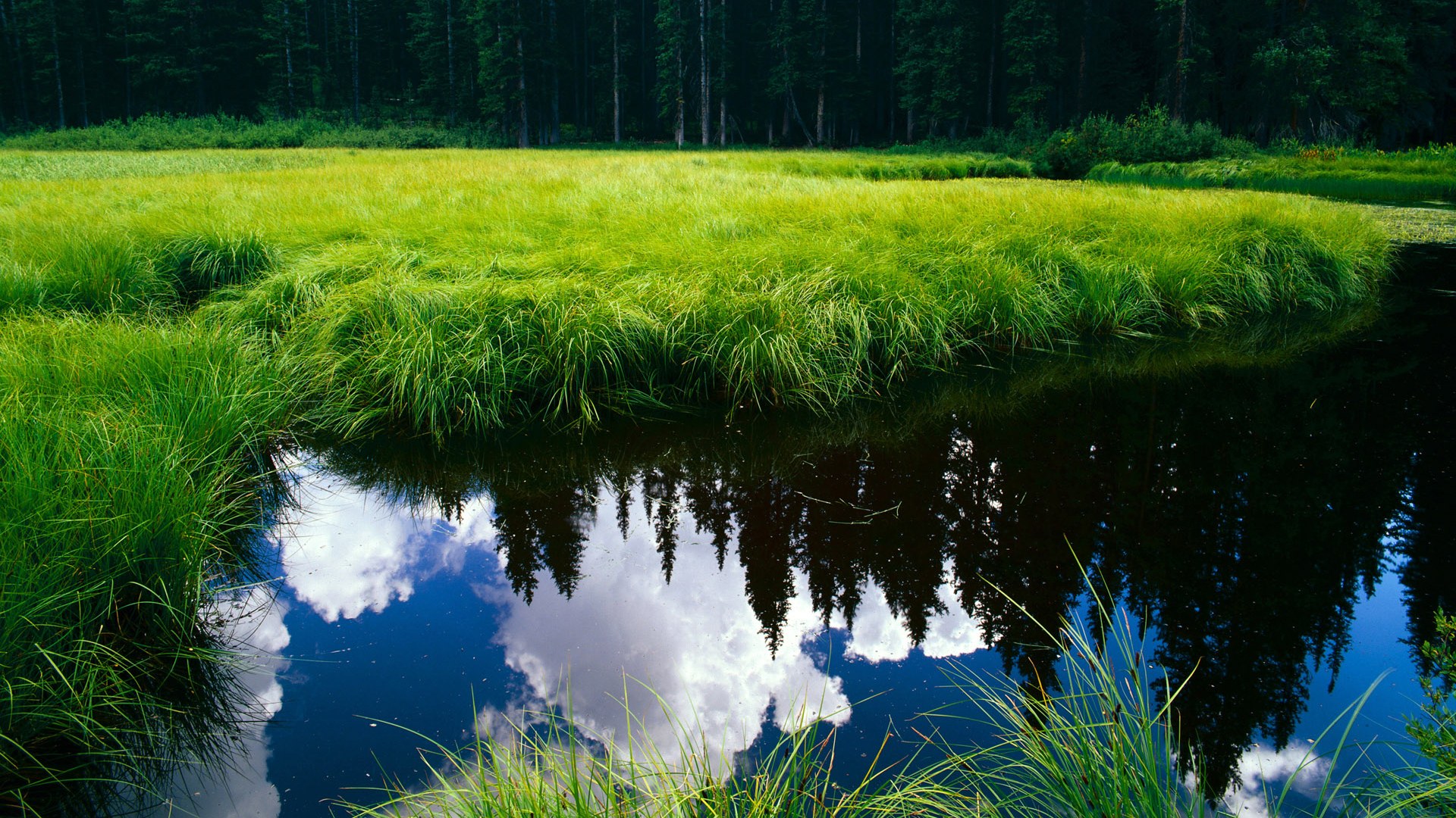 水球节奏控制瑞士主导全场,水球技巧