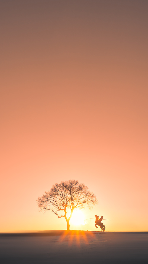 法甲新晋崛起:未来之星闪耀绿茵!,足坛未来之星