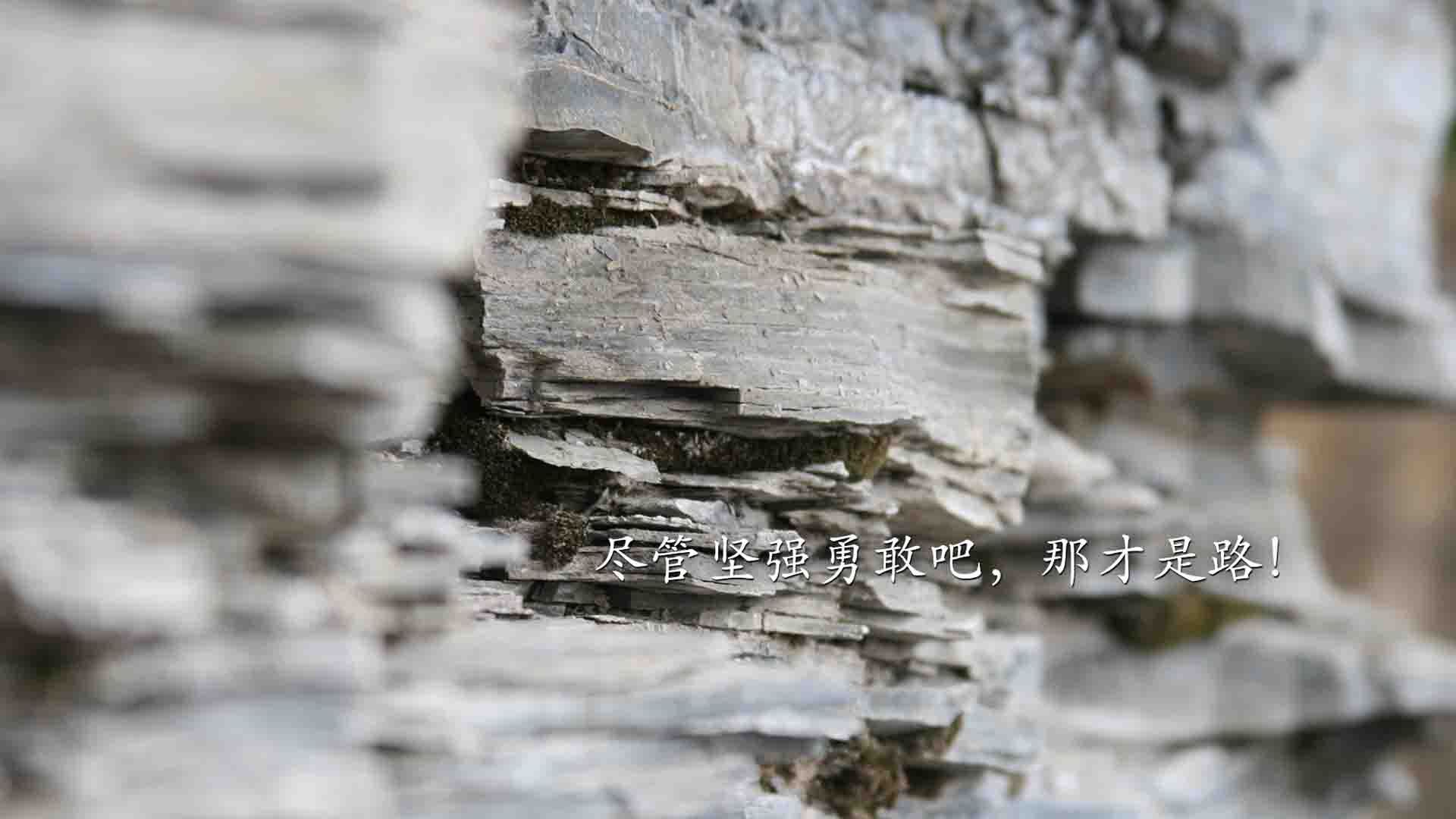 波尔曼的快速反击与精准的判断力,让袋鼠队在比赛中控制局面,波尔曼针服