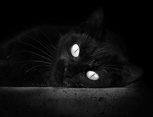 湖人队内展开季前目标墙活动增强动力系统,湖人球员动向