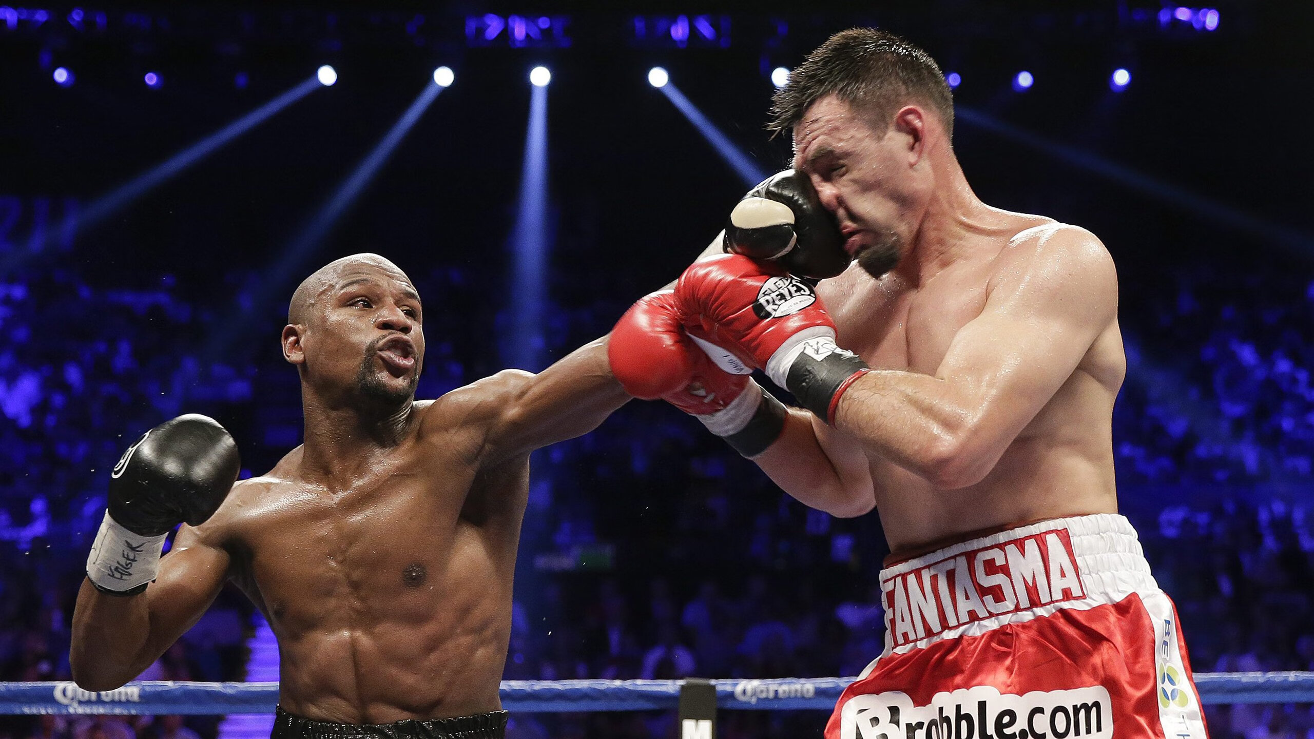 _极地冰湖冰泳比赛：冰封世界的速度较量_，极地冰主要在哪里