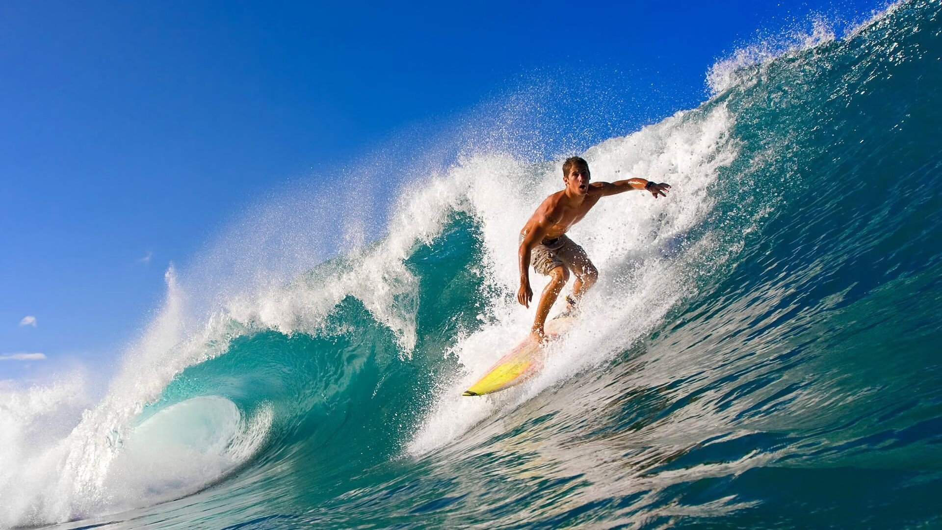 “德甲最后冲刺：争冠队伍形势逐渐明朗”，德甲最后一轮看点